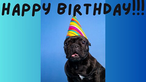 PUPPY HAPPY BIRTHDAY SONG! Dog Happy Birthday Song! Puppy Birthday!
