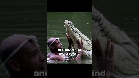 The Man Who Swims With Crocodile