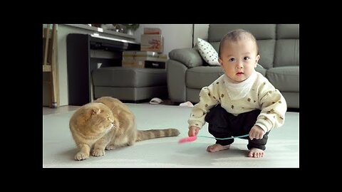 Will Walking Baby become friends with the Cats?