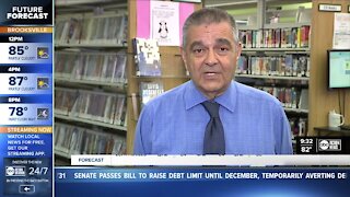 Palm Harbor library sees increase in online visitors