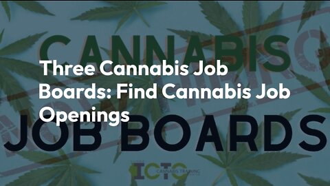 Three Cannabis Job Boards: Find Cannabis Job Openings & Career Opportunities