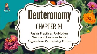 Deuteronomy Chapter 14 | NRSV Bible Reading