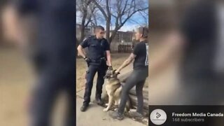 RCMP Canada Police In Middle Of Pandemic - He Tries To Steal A Service Dog