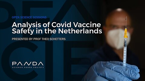 Dr. Theo Schetters - Analysis of Covid Vaccine Safety in the Netherlands