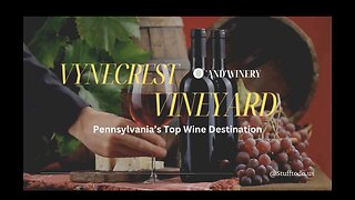 Vynecrest Vineyard and Winery: Pennsylvania’s Top Wine Destination | Stufftodo.us