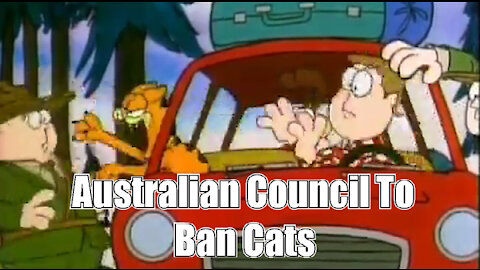 Australian council to ban cats🙀 outside unless they are on a Leash