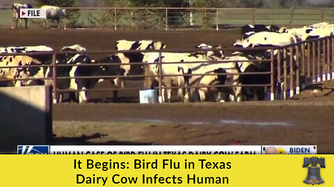 It Begins: Bird Flu in Texas Dairy Cow Infects Human