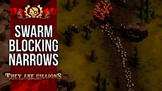 SWARM Blocking The NARROWS | BRUTAL 300% | They Are Billions Campaign