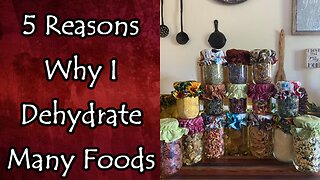 5 Reasons Why I Dehydrate More Foods Each Year