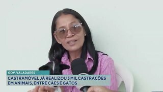 Gov. Valadares: Castramóvel já realizou três mil castrações em animais, entre cães e gatos