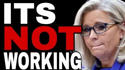 HOLLYWOOD COMES OUT FOR LIZ CHENEY AS SHE SINKS BEFORE THE WYOMING PRIMARY