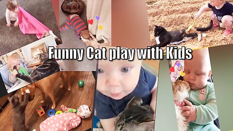 Hilarious Hijinks: Funny Cat Playtime with Kids! l Try Not To Laugh