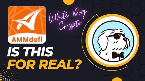 White Dog Crypto - AMM DeFi Part 1. Is this for real?!