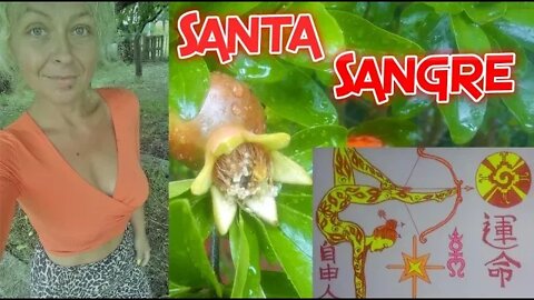 Santa Sangre - Yoni Painting Ritual