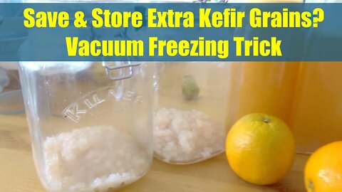 0 Waste Way 2 Save & Store Kefir Grains by Vacuum Freezing Them. Genius Low Tech Method.
