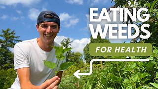 Heal Your Body By Eating Weeds