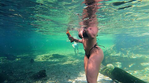 HOLY CHIT! Ferocious Florida Manatee Nibbles Manatee Whisperer