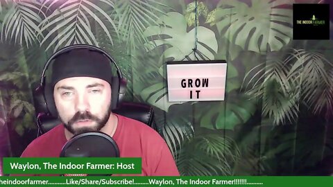 Waylon, The Indoor Farmer #49. Where Do I Go From Here?