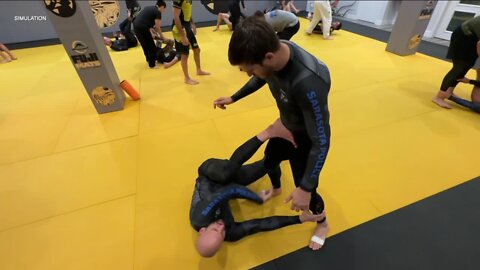 Tampa Bay area police officers using Jiu-Jitsu