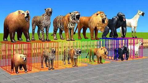 Wild animal games choose the rights iron cage eat fruits challenge with gorilla tiger horse