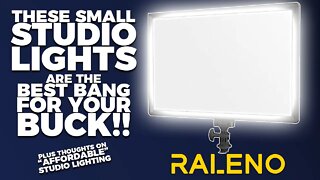 These Studio Lights are the best Bang for Your Buck! (Tech Review)