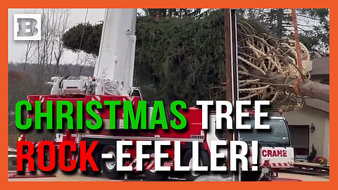 CHRISTMAS TREE ROCK-EFELLER! — 80-Foot Tree Selected for Rockefeller Plaza