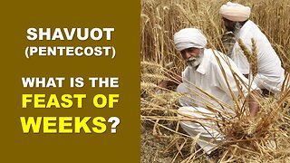 Shavuot | Feast of Weeks | Pentecost | Torah Menorah