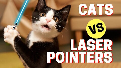 Laser pointers versus cats