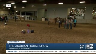 Scottsdale Arabian Horse Show kicks off