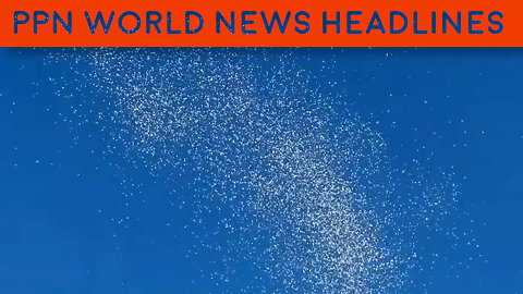 PPN World News Headlines - 7 Dec 2023