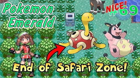 Wrapping up the Safari Zone! Pokémon Emerald - Part 69