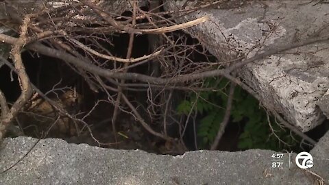Detroit residents say they've been dealing with sinkholes for years
