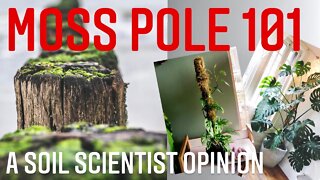 WHY DO MOSS POLES WORK FOR PLANTS? THE SCIENCE BEHIND THE TOTEM! WHICH MOSS POLE DESIGN IS THE BEST