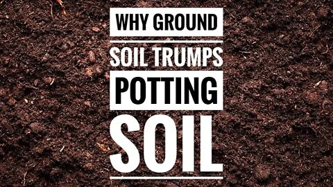 WHY GROUND SOIL IS BETTER THAN POTTING SOIL. COLLAB WITH FRASER VALLEY ROSE FARM. 🪴👩‍🔬🇨🇦
