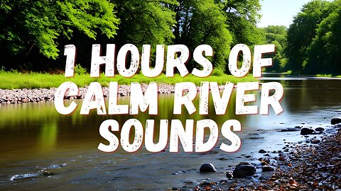 1 Hours Nature Sounds: Calm River Water flow for Relaxation Peaceful Deep Sleep #studymusic