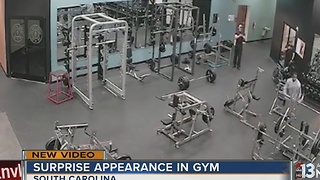 Deer makes appearance at gym