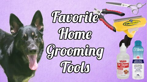 Grooming Your Dog At Home - What I Use - German Shepherd