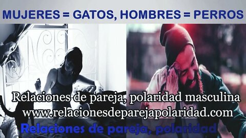 Mujeres = gatos🐈 Hombres = perr0s 🐶 es una analogía de como son los hombres beta 💖💝💘 - mejorado