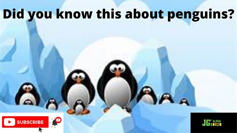 Amazing Facts about Penguins!!