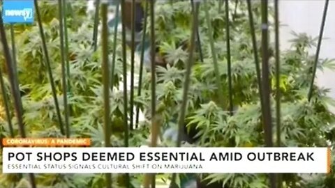 Recreational Cannabis Stores Labeled "Essential" During Covid-19 Pandemic