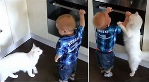 Protective cat keeps baby boy from leaving bedroom. 😼🤗