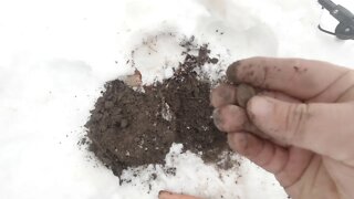 Episode 9 snow dig prelude to Digstock mini