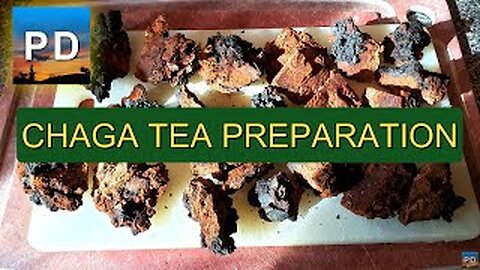 Chaga Tea Preparation