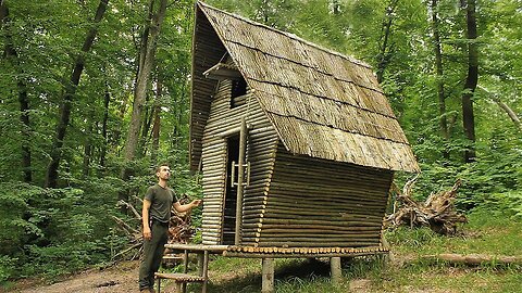 Bushcraft Cabin in the Wilderness, Fried Mushrooms, Life Off Grid, Primitive Technology