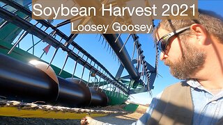 Soybean Harvest 2021 Loosey Goosey