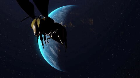 CW - Bee In Space