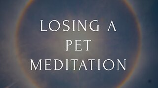 Comforting Meditation for Losing Your Pet