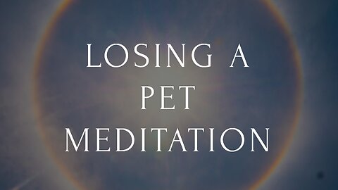 Comforting Meditation for Losing Your Pet