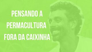 Pensando a permacultura fora da caixinha