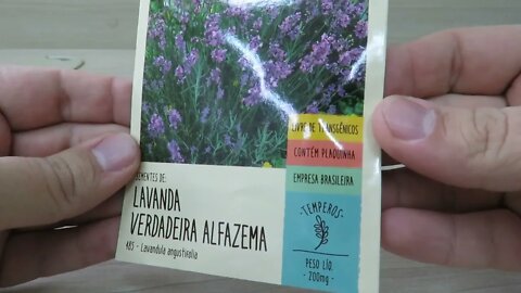 199 Sementes de Lavanda Verdadeira Alfazema